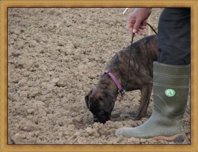 Faertenseminar mit Horst Hinz